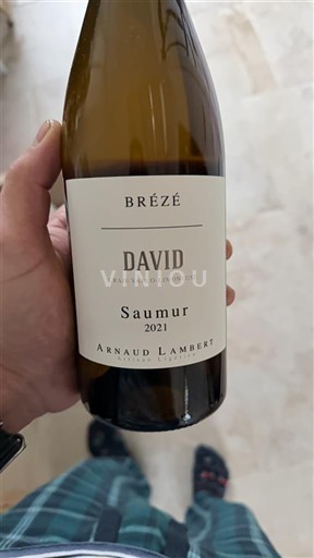 Valle del Loira Saumur Arnaud Lambert Brézé David 2021