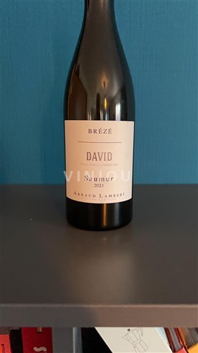 Thung lũng sông Loire Saumur Arnaud Lambert Brézé David 2021