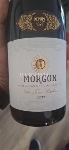 Beaujolais Morgon Cave du Beaujolais Les Trois Roches 2022