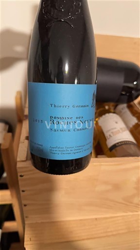 Vallée de la Loire Saumur-champigny Domaine Des Roches Neuves 2015