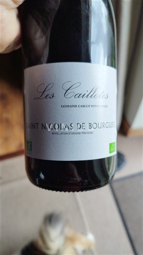 Loire-dalen Saint-Nicolas-De-Bourgueil Domaine Caslot Pontonnier Les Caillettes 2024