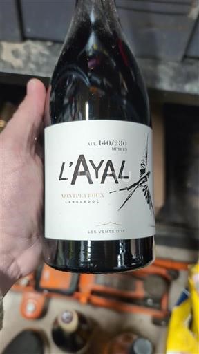 Languedoc Minervois Les Vents Anges L'Ayal 2020
