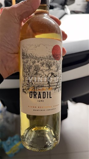 Portugal Lisboa Martinus Johanix 2020