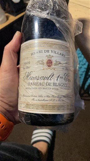 Bourgogne Premier Cru Henri de Villars Hameau de Blagny 2009