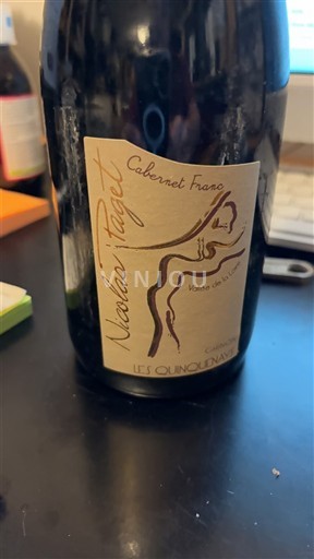 Valle della Loira Touraine Nicolas Paget Les Quinquenays 2010