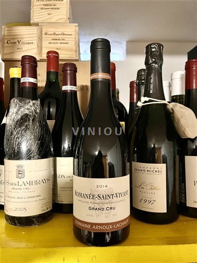 Borgogna Romanée-saint-vivant Grand Cru Domaine Arnoux-Lachaux 2014