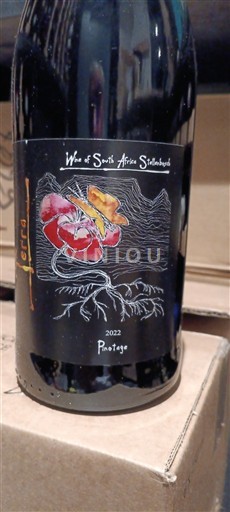 Pobrežní oblast Stellenbosch Terra 2022