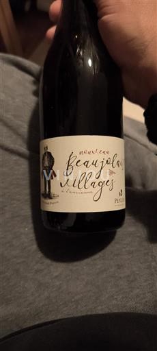 Beaujolais Beaujolais Dorpen PERRAUD Nouveau 2024