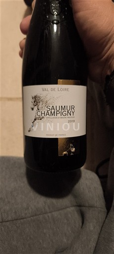 Loire Valley Saumur-Champigny Expert Club 2019