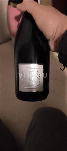 Valle del Loira Chinon Chinonceau 2012