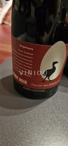 Languedoc và Roussillon Vùng đất Oc Anne de Joyeuse Terroir des Dinosaures Không niên vụ