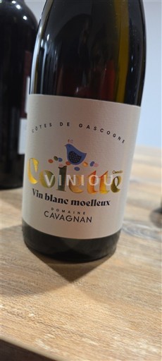 South West Côtes de Gascogne Domaine Cavagnan Colette Non-Vintage