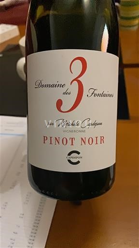 Linguadoca e Rossiglione Paese d'Oc Domaine Des 3 Fontaines Pinot Noir Senza annata