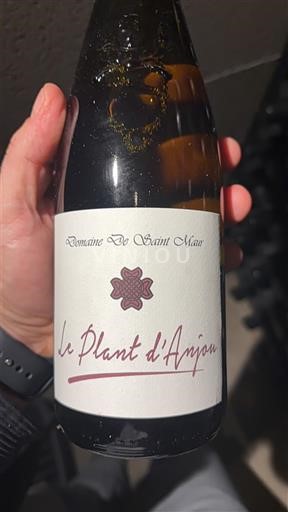 Vallée de la Loire Anjou Domaine Saint Maur Le Plant d'Anjou 2022