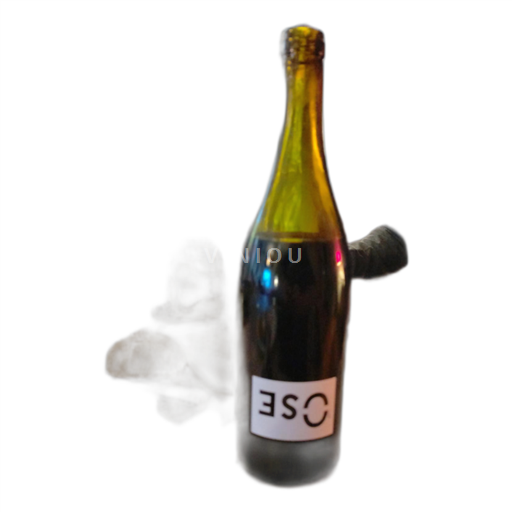 Loire Valley Bourgueil Bertrand et Vincent Marchesseau 2022