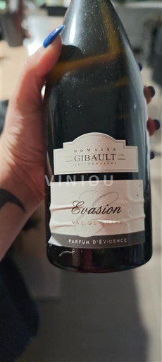 Dolina Loare Domaine Gibault Evasion Neleten.