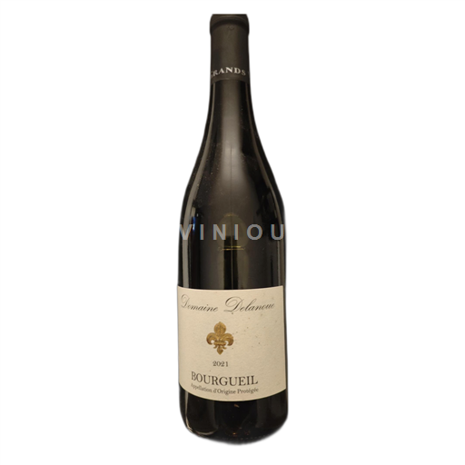 Valle della Loira Bourgueil Domaine Delanoue 2021