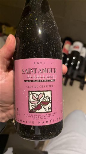 Beaujolais Saint-Amour Domaine Hamet-Spay Clos du Chapitre 2021