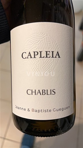 Borgogna Chablis Jeanne & Baptiste Gueguen Capleia 2024