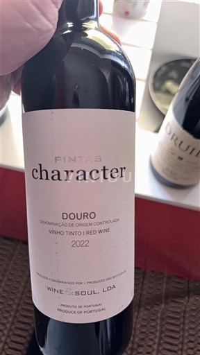 Дуро Douro Wine & Soul Pintas Character 2022
