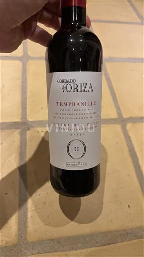 Vinos Rouge sec Tempranillo Condado de Oriza 2022 España Castilla y León Ribera del Duero DO