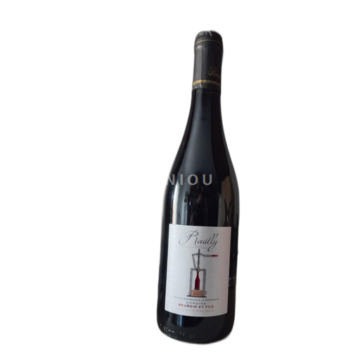 Údolí Loiry Reuilly Domaine Henri Beurdin et Fils 2023