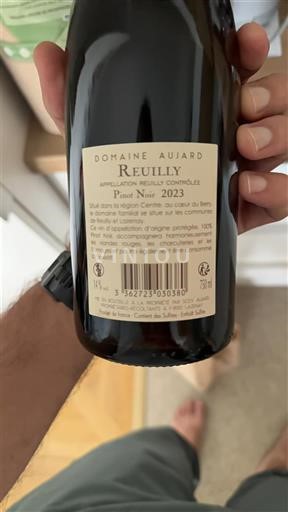 Údolí Loiry Reuilly Domaine Aujaud 2023