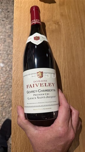 Borgogna Gevrey-Chambertin Premier Cru Domaine Faiveley Lavaux Saint Jacques 2019