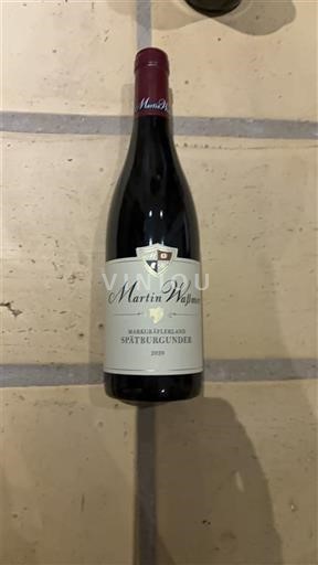 Baden Ospecificerad Martin Wassmer 2020