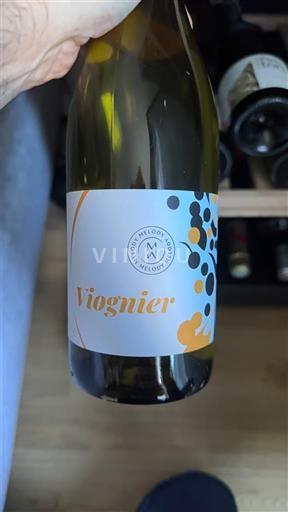 Alpit ja Rhônen maat Rhodanien rinteet Mélody Viognier 2023