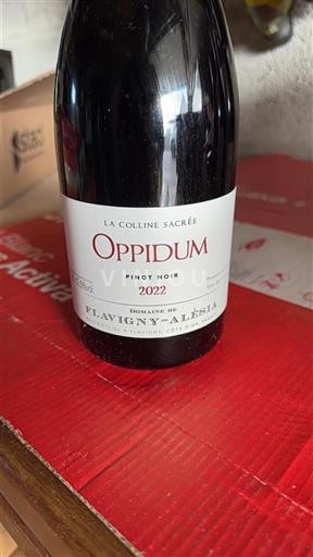 Các vùng miền Đông Coteaux de l'Auxois Domaine Flavigny-Alésia Oppidum 2022