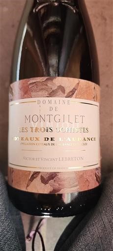 Thung lũng sông Loire Coteaux-de-l'aubance Domaine Montgilet Les Trois Schistes 2017