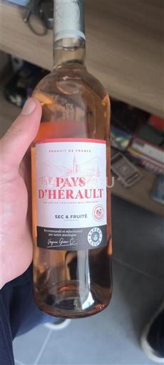 Languedoc Nicht spezifiziert Pays herault Ohne Jahrgang