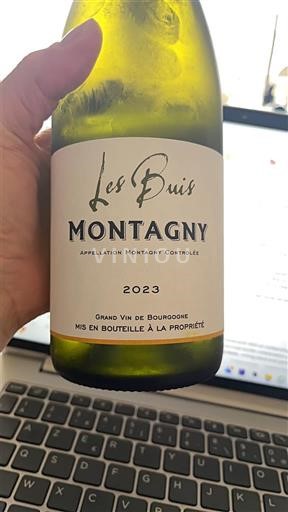 Bourgogne Montagny Les Buis 2023