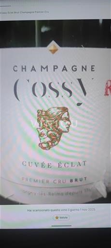 Šampanja Ni doloceno Premier Cru Cossy Éclat Neleten.