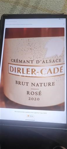 Alsace Alsace-kuohuviini Dirler-Cadé Brut Nature Rosé 2020