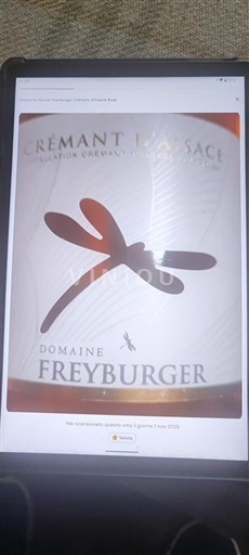 Alsace Crémant-d'alsace Domaine Freyburger Non Millésimé