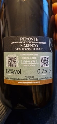Piémont Barbera dei Sei Castelli Marengo 2024