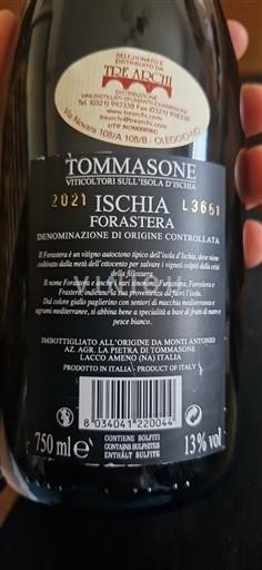 Campania Ischia Tommasone Forastera 2021