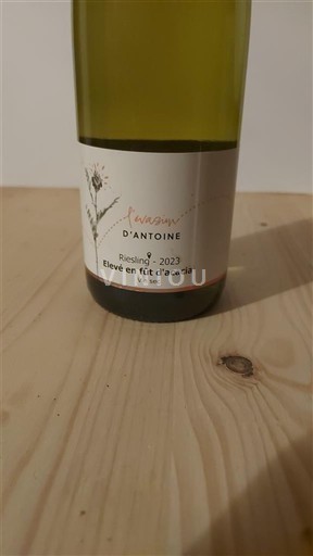 Alsace Riesling Jean-Paul Schaffhauser Riesling élevé en fût d'acacia 2023