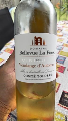 Sud-Ovest Comté tolosan Domaine Bellevue La Forêt Vendange d'Automne 2021