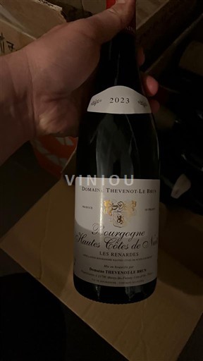 Bourgogne Hautes Côtes de Nuits Domaine Thevenot-Le Brun Les Renardes 2023