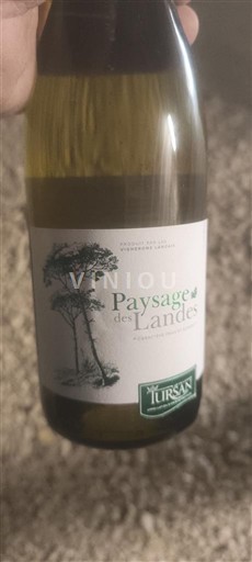 Jugozahod Tursan Tursan Paysage des Landes Neleten.