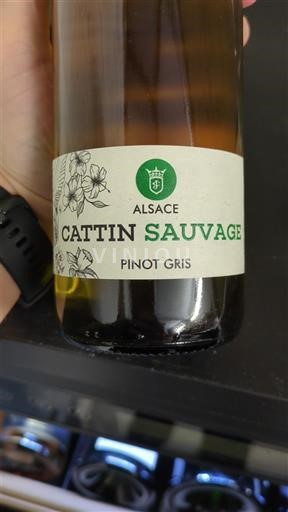 Alzacija Ni doloceno Cattin Sauvage Neleten.