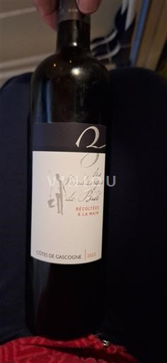 South West Côtes de Gascogne Les Vendanges de Bert 2022