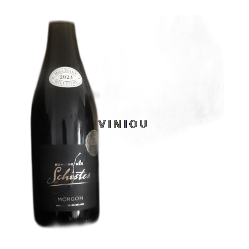 Beaujolais Morgon Domaine Des Schistes 2024