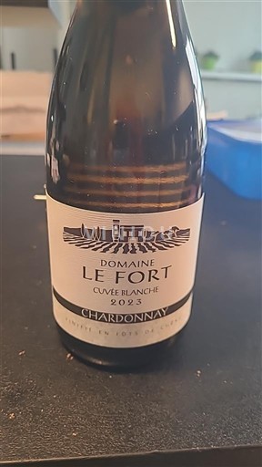 South West Côtes de Gascogne Domaine Le Fort Blanche 2023