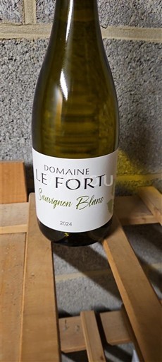 Languedoc og Roussillon Pays d'Oc Domaine Le Fort Sauvignon Blanc 2024