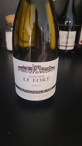South West Côtes de Gascogne Domaine Le Fort Sauvignon Blanc Fût de chêne 2023