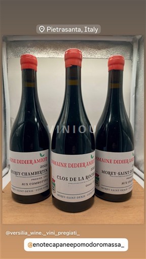 Burgundi Morey-Saint-Denis Grand Cru Domaine Dider Amiot 2020